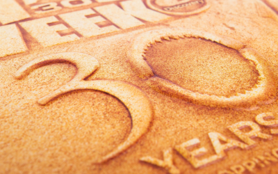 Folding Carton DVD Sleeve